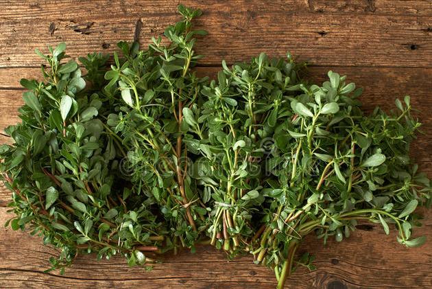 马齿苋不焯水凉拌方法,焯马齿苋放什么不酸