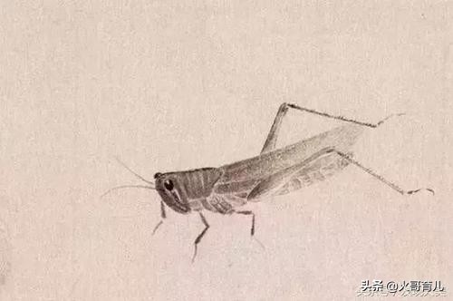 怎么帮孩子克服怕虫子的心理,小女孩害怕虫子脱敏