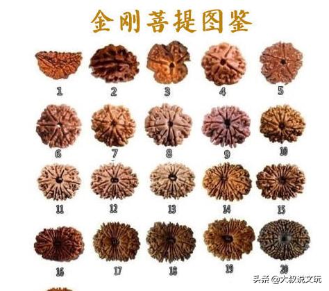 最常见的十种菩提价格,最贵的菩提是哪种