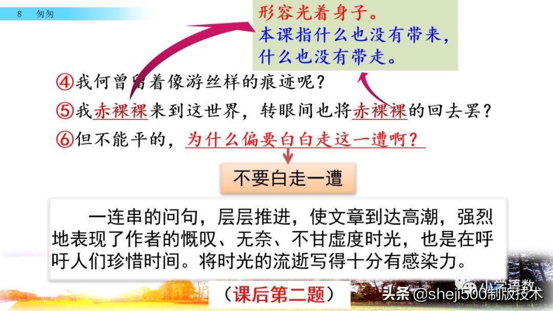 部编版六年级下第八课匆匆讲解,语文六年级下册第8课匆匆预习