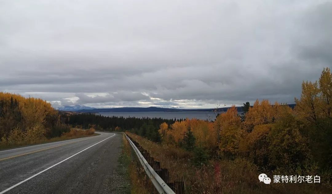 跟着老白行走加拿大，育空Watson Lake、BC省Northern Rockies