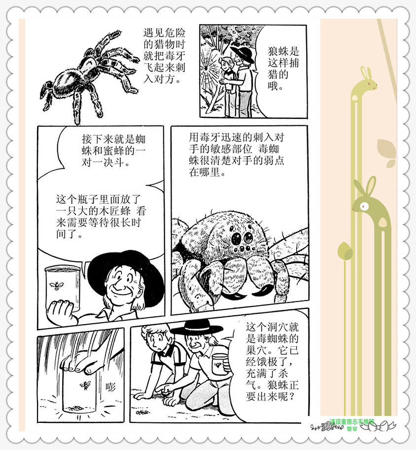 昆虫记法布尔动画片,昆虫记法布尔全套