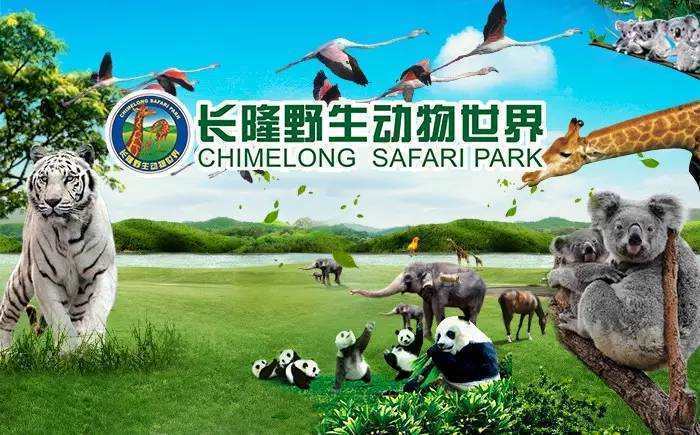 广州长隆野生动物世界游览图,广东广州长隆野生动物世界