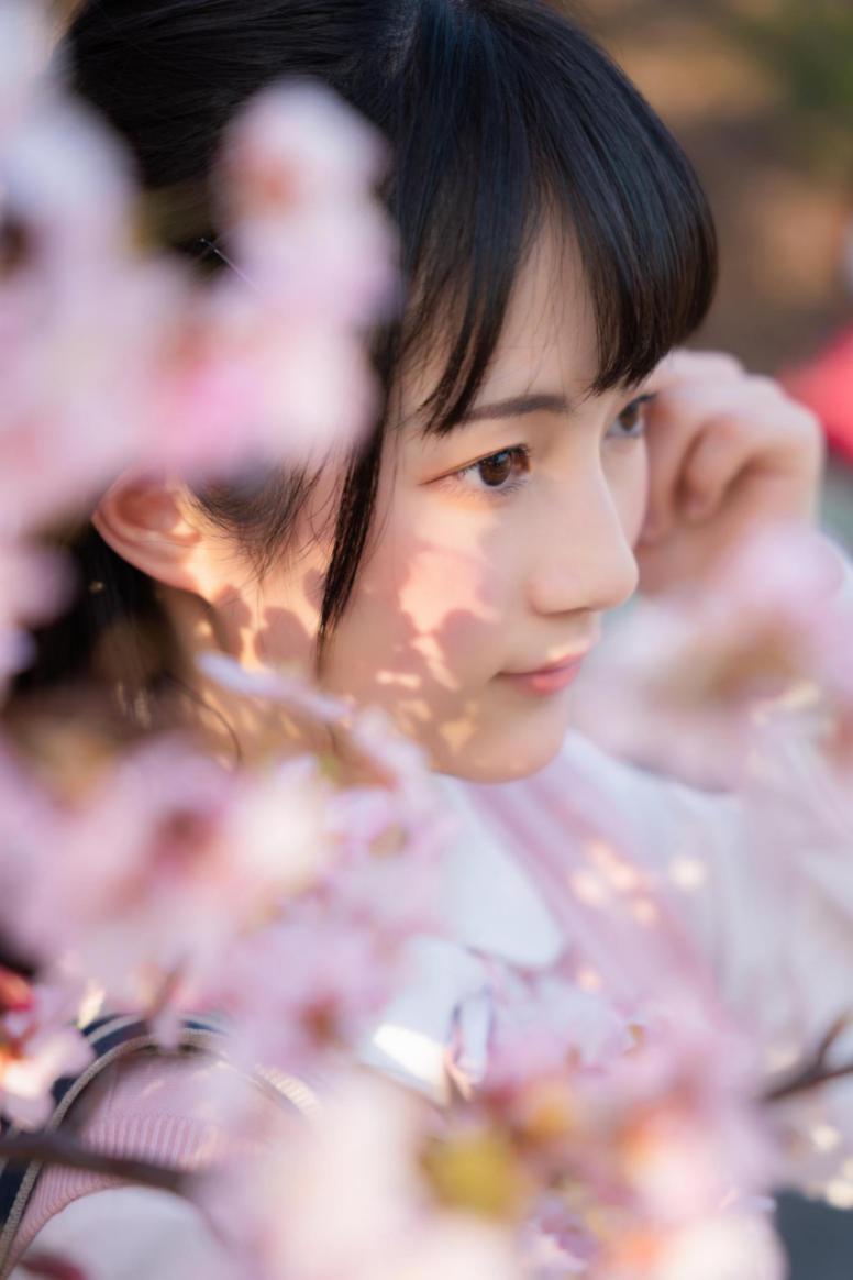 适马24-702.8二代镜头测评,适马新出的24-702.8镜头怎样