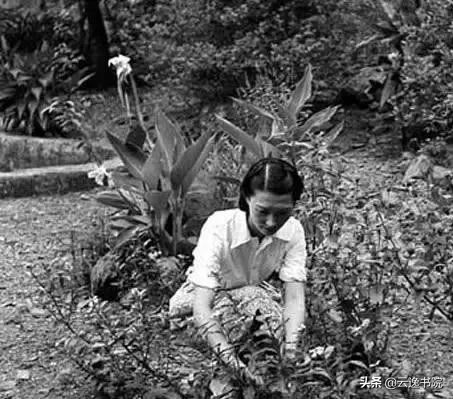 民国最美六大美人,民国才女气质美如兰