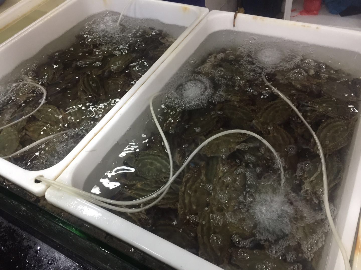 第一次吃梭子蟹,梭子蟹怎么弄着吃才好吃