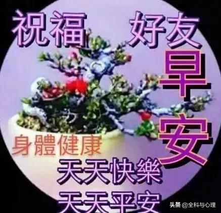 早上好表情早上好问候,早上好动态表情图片大全最新版