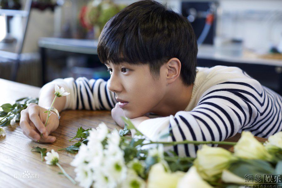 如果你是传说女生版,侯明昊刘昊然