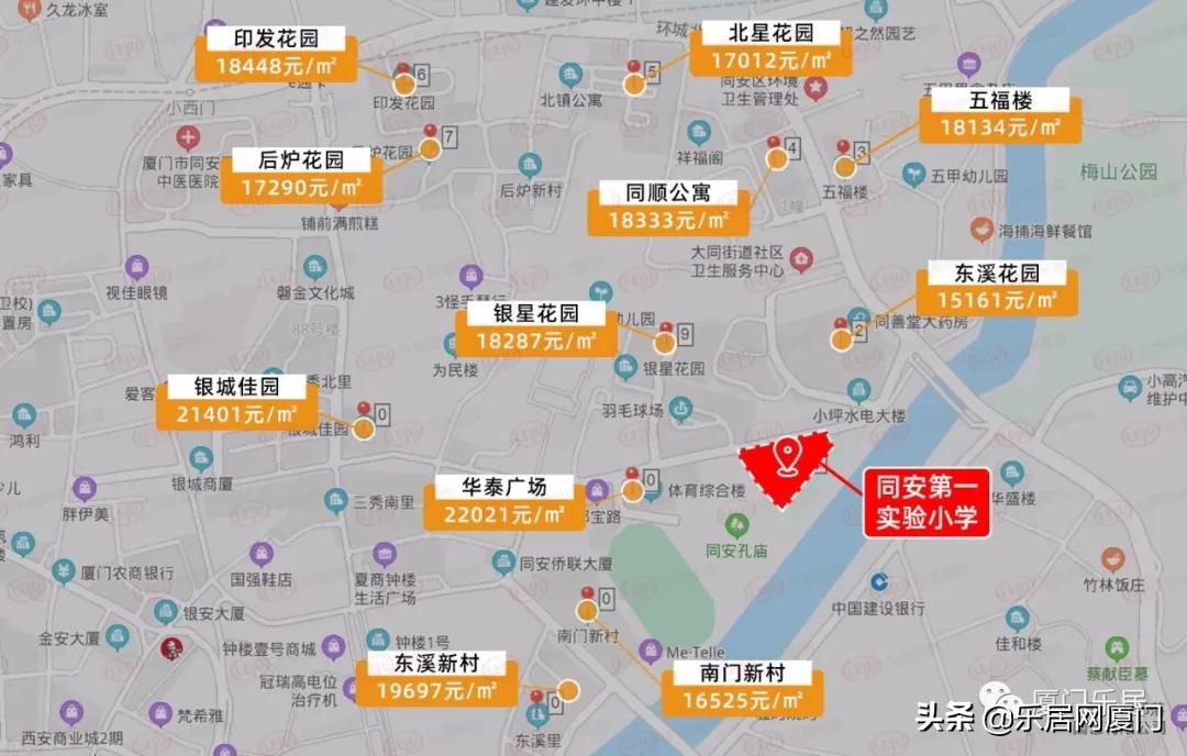 老破小也抗跌！解析同安三大名校背后的“学区热”