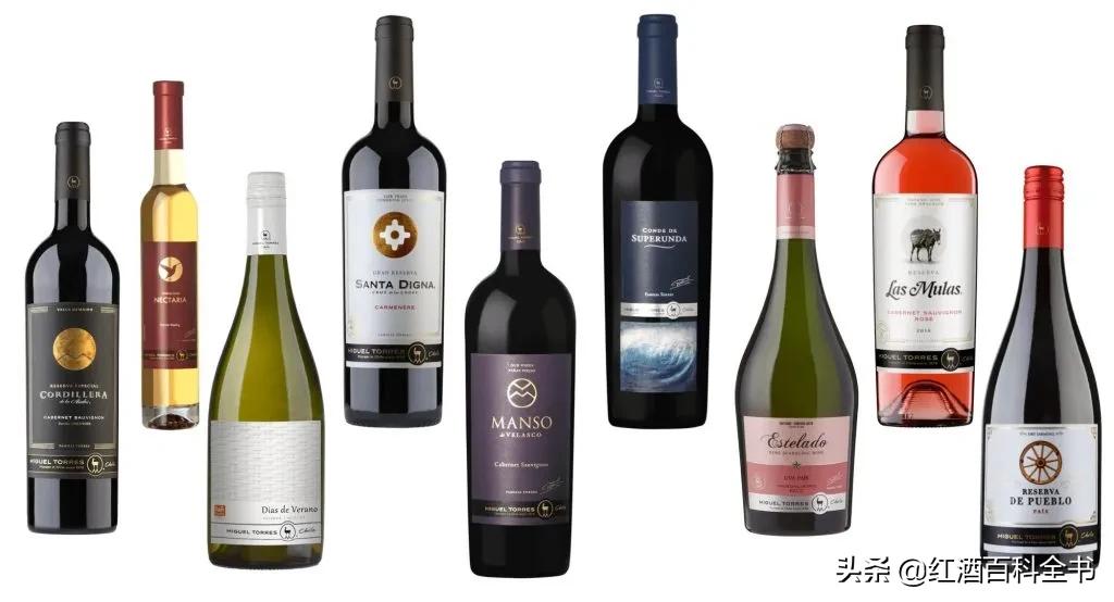 澳洲酒和智利酒,澳洲酒和智利酒的区别