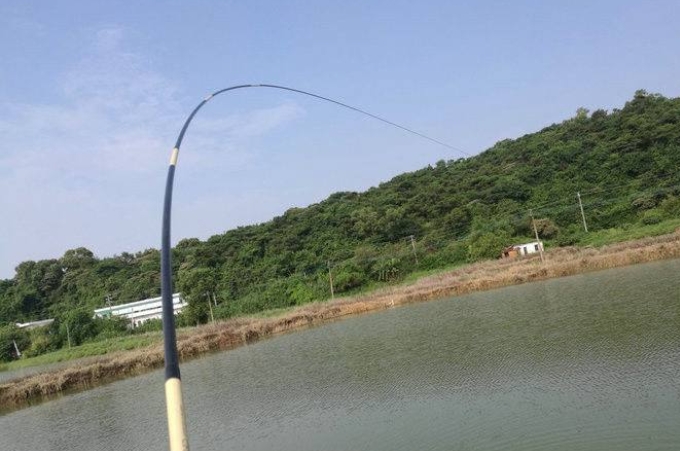 鲢鳙最有效的钓法,钓鲢鳙最好的办法