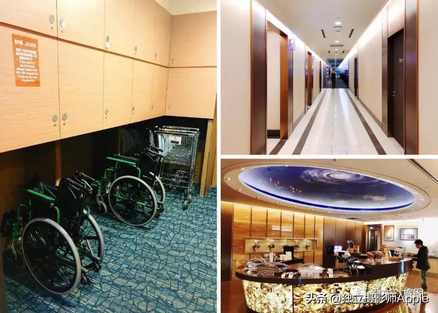 喂鳄鱼、看篮球比赛和太空中心的好玩休斯顿