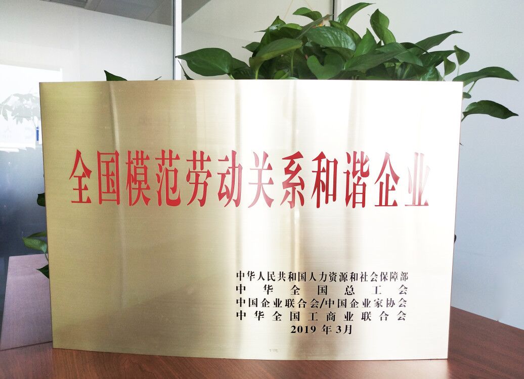 中智沈阳经济技术合作有限公司,中智沈阳经济技术合作公司好吗