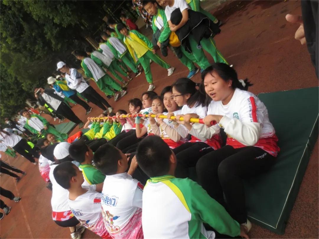 龙腾虎跃展英姿,龙腾虎跃展宏图