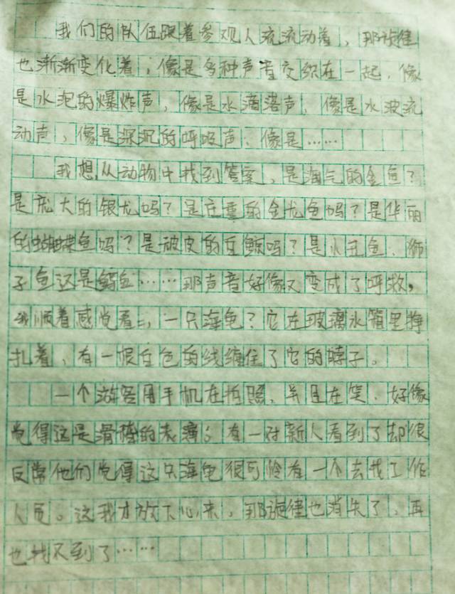 观看海洋博物馆的作文,海洋馆探险之旅作文