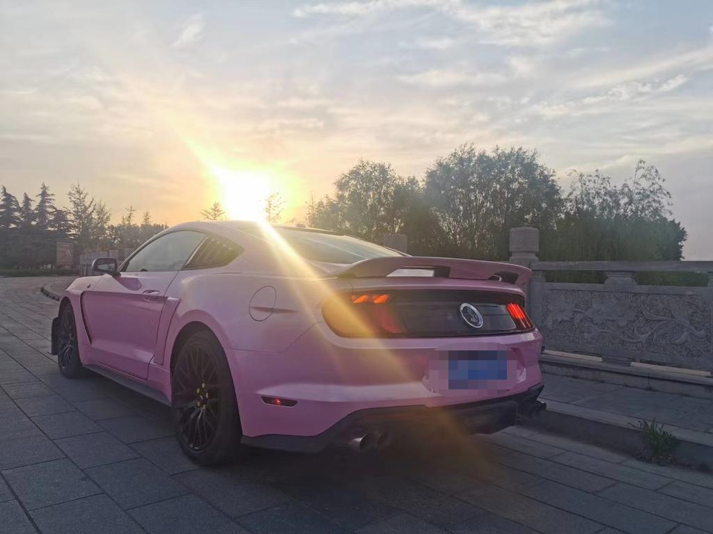 福特野马mustangmach-e评测,福特野马mustang5.0试驾