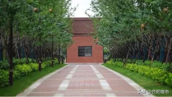 三进合肥“100亿俱乐部”，旭辉把百亿养成了习惯