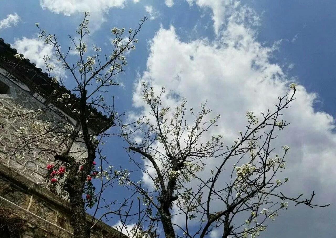 2018.11.18大理文化人为白族乡贤李忠祥先生送行