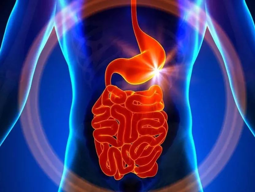 生孩子痛苦还是做胃镜痛苦,生孩子和做胃镜哪个痛苦