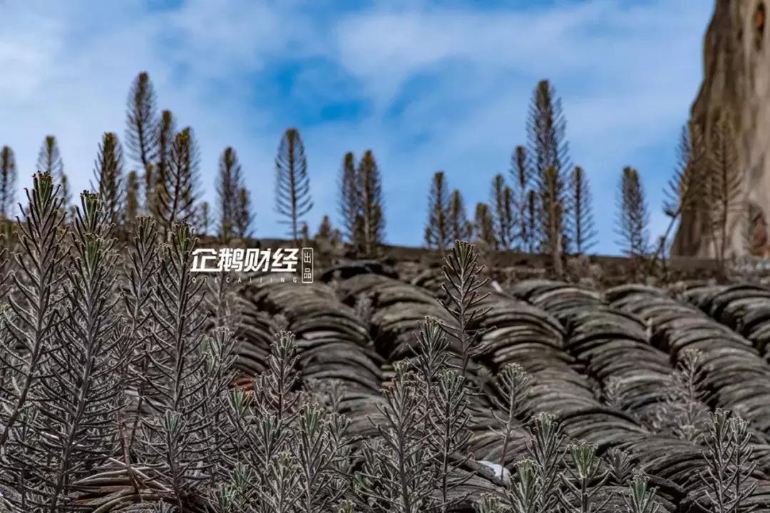 惠阳老街,城市记忆惠州