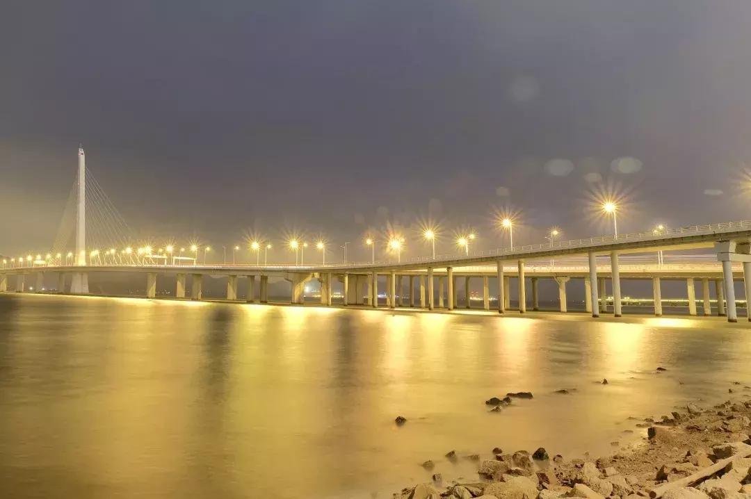 深圳湾公园这里有什么好吃的,深圳湾在哪里