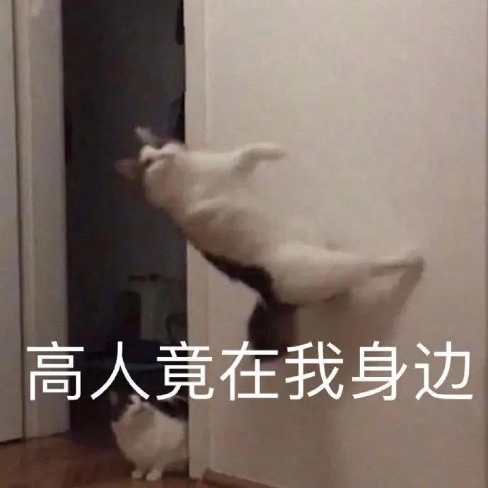 田朴珺万科王石完整版,王石妻子田朴珺