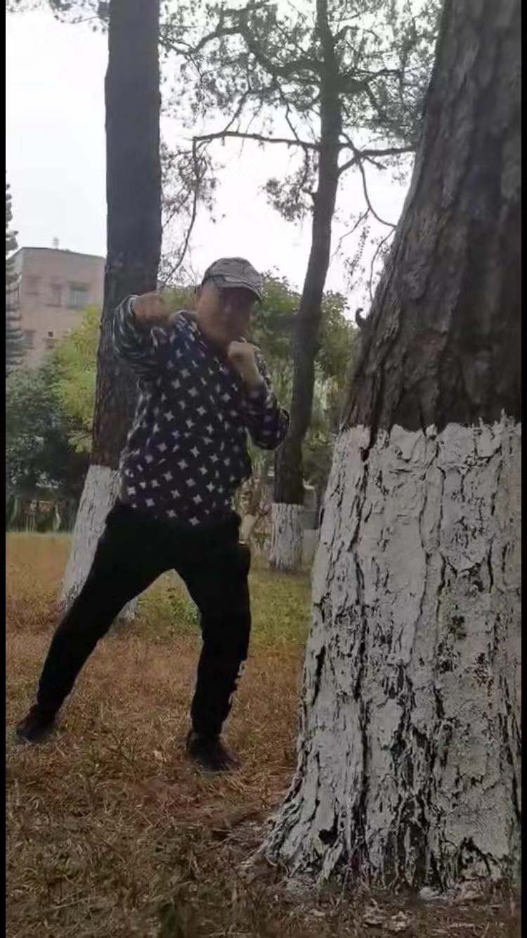 传武田野苦练里合腿绝技，踢飞树皮威慑太极雷雷，二战值得期待