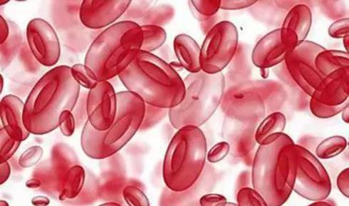 快死的鱼放到河里还能活吗,快死的鱼还在挣扎能活吗