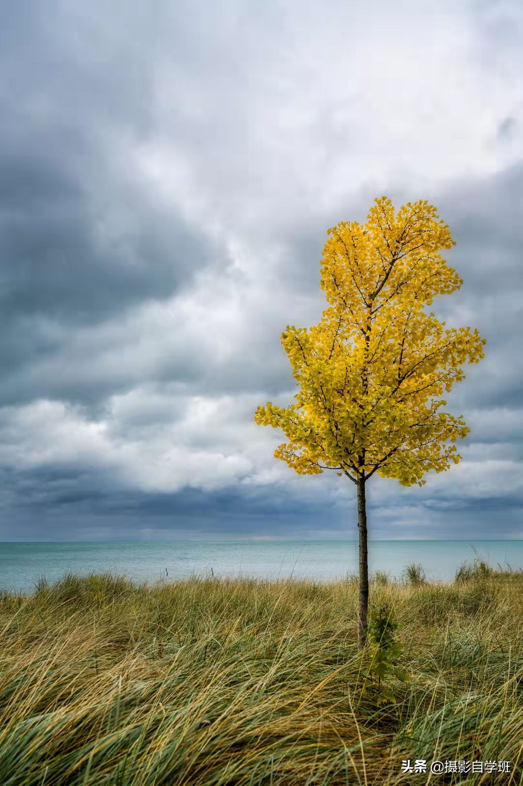 拍风景然后自拍怎么拍好看,值得拥有拍风景的10个摄影技巧