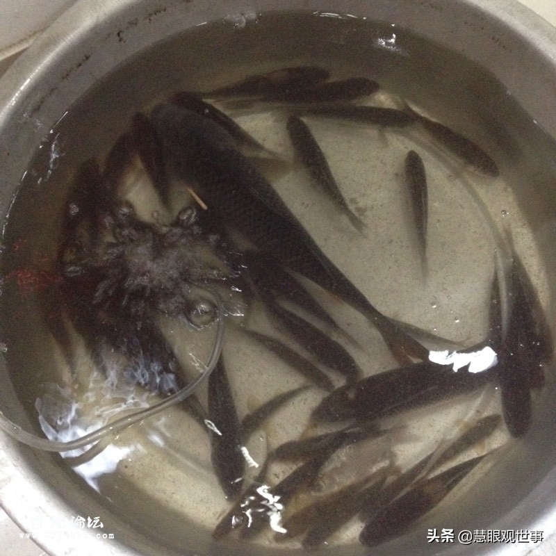 《侯海洋基层风云》中李酸酸和秋云的故事