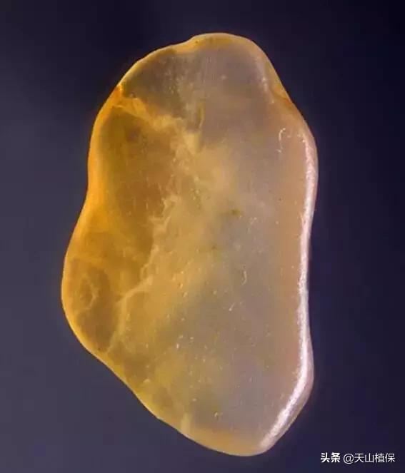 怎么捡到价值极高的石头,捡到一块石头价值千万