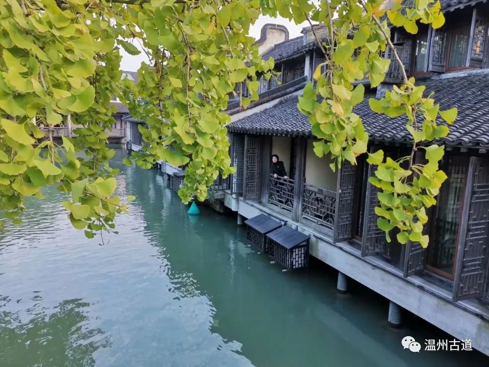 姹熷崡姘翠埂椋庨煹,姹熷崡姘翠埂椋庢儏涔岄晣鐨勫鏅編鏋佷簡