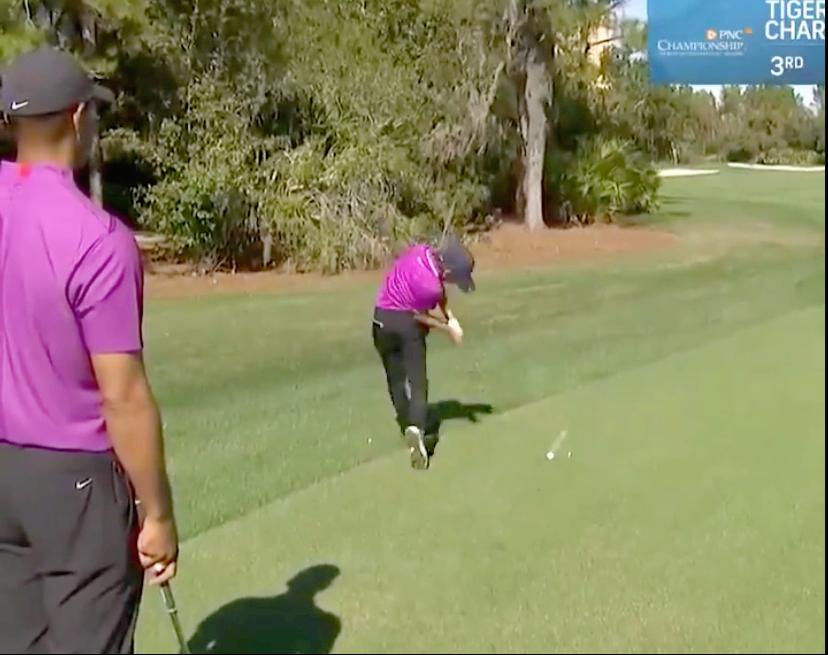 泰格伍兹和詹姆斯,詹姆斯羡慕库里兄弟情