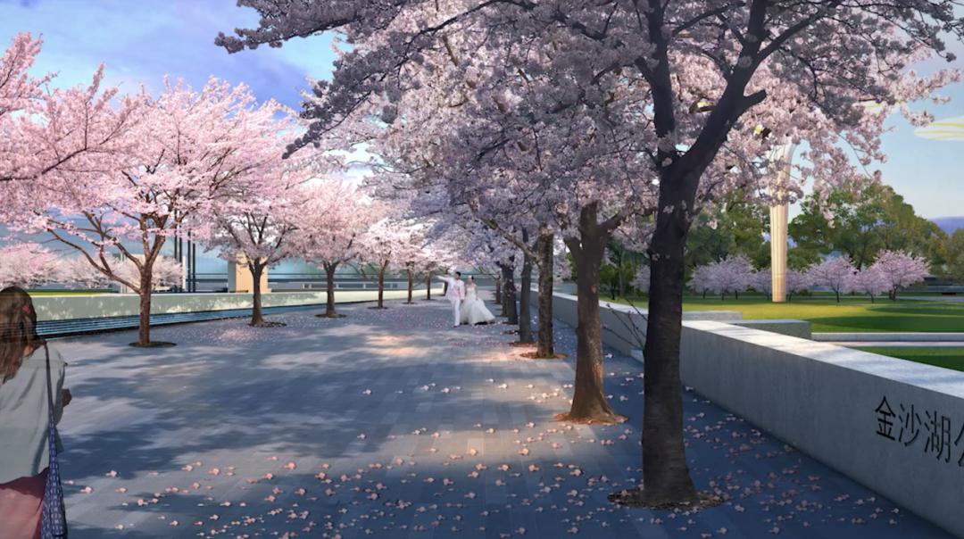 金沙湖钱塘新区,钱塘区金沙湖规划