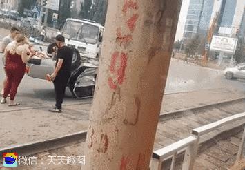 搞笑动图gif狗,搞笑动图gif猫咪