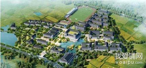 合肥苏宁广场未来发展,合肥市巢湖半汤温泉养生度假区