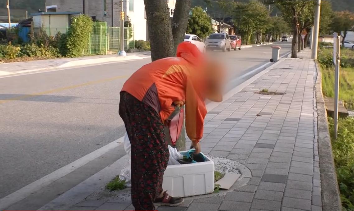 韩国老太独居深山40年,囤积癖老人去世