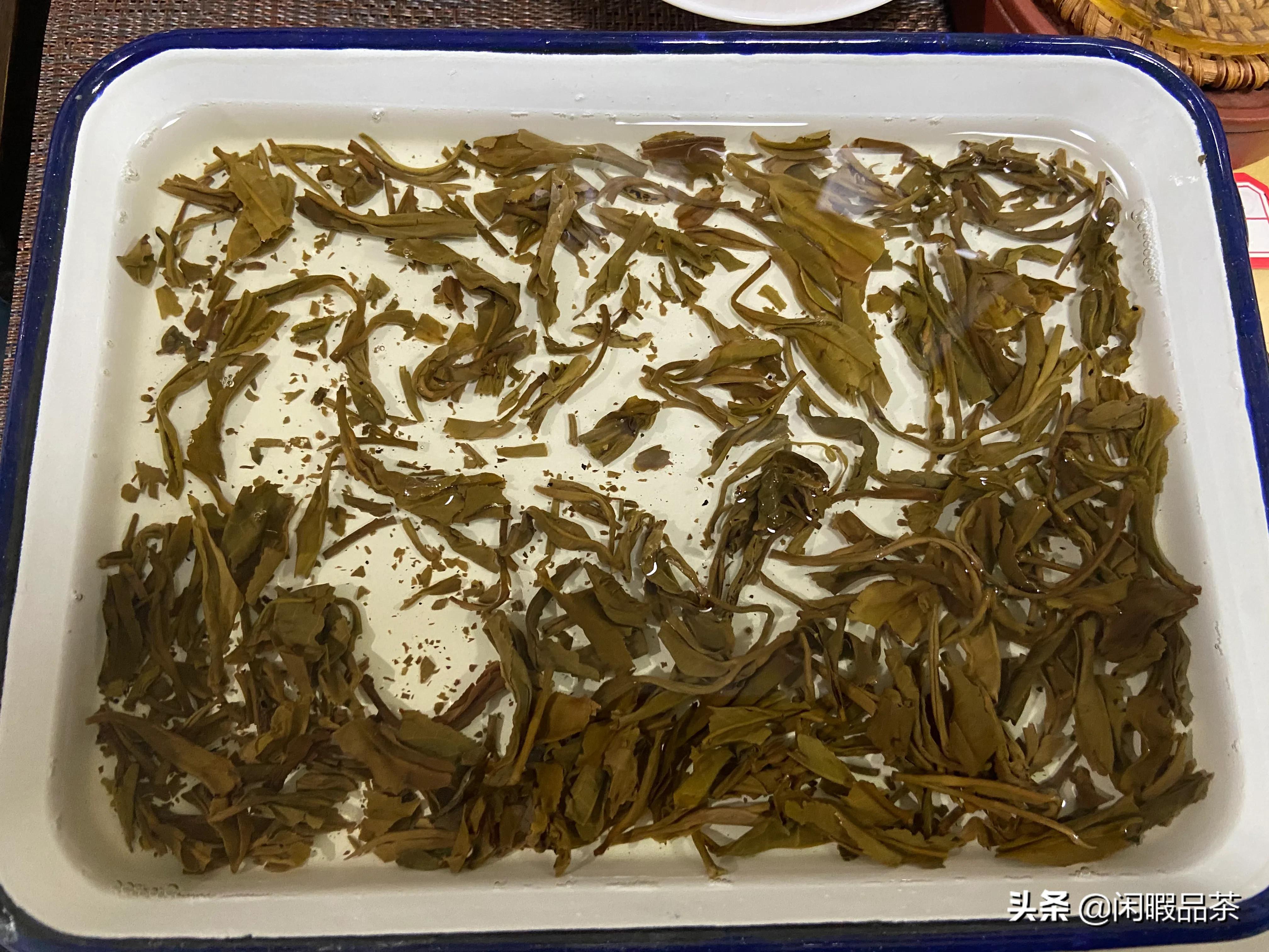 闲暇品茶,云河茶厂和字饼生茶