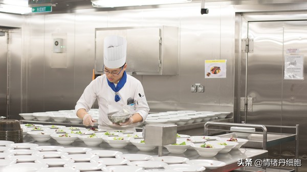 邮轮游选择哪个游轮好,邮轮旅游全攻略公主号