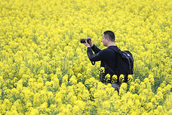 踏春赏花拍美景,踏春赏花逛湖