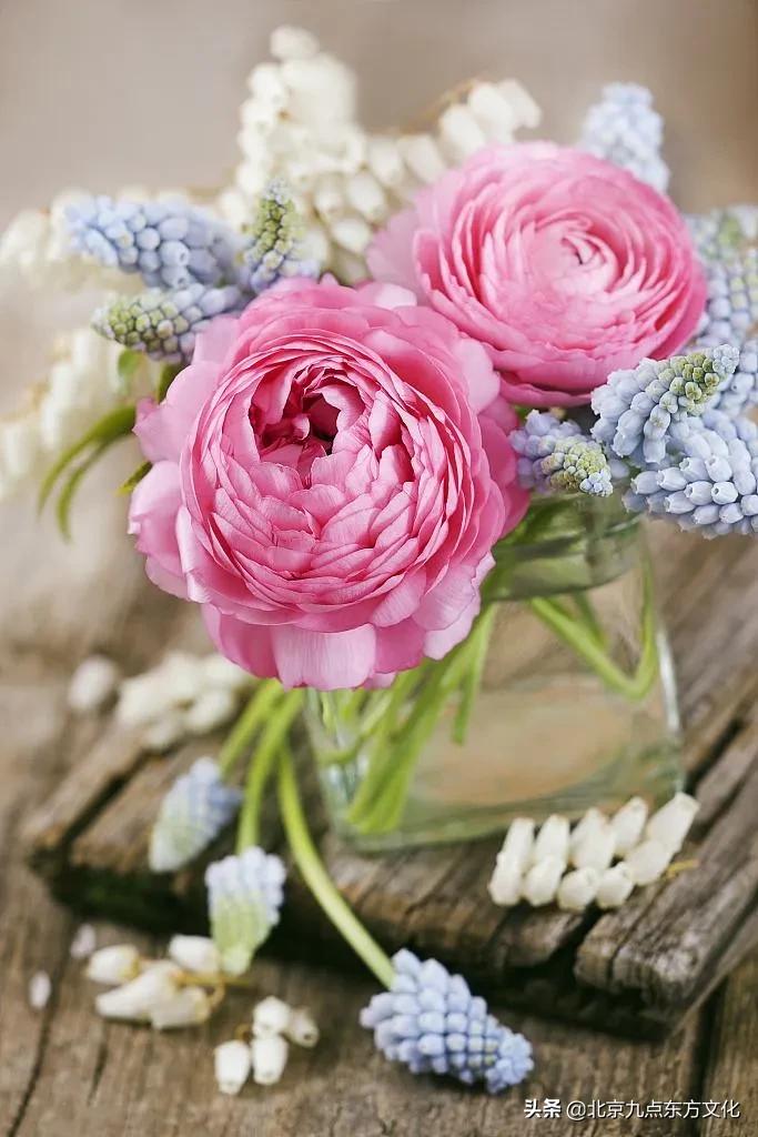 折花逢驿使寄与陇头人的意思,折花逢驿使寄与陇头人谁写的