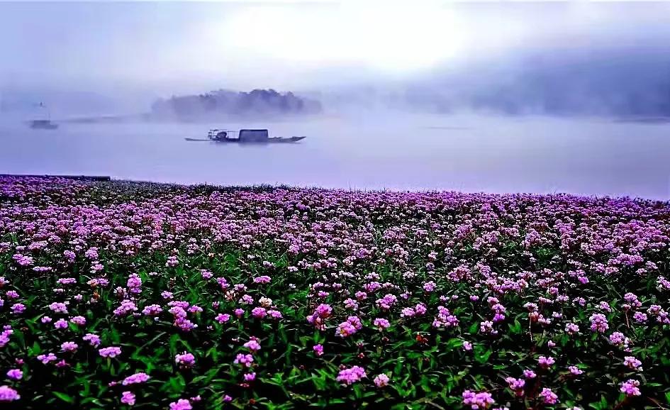 多彩太平湖,金秋邀您来“打卡”