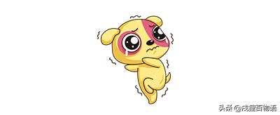 怎么判断狗狗是否有这4种表现,如何判断狗狗是否会狂犬病