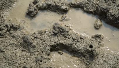 青岛国家海洋公园免费,海洋公园青岛最新