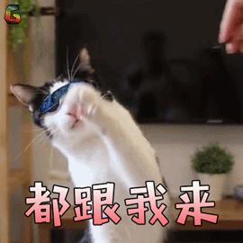 八菜一汤旅游图片,八菜一汤四店