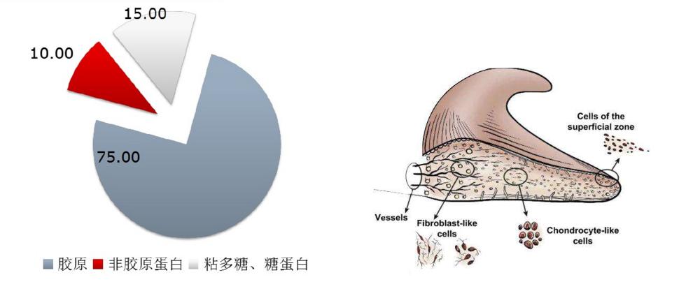 哪些明星半月板撕裂过,膝关节损伤的明星