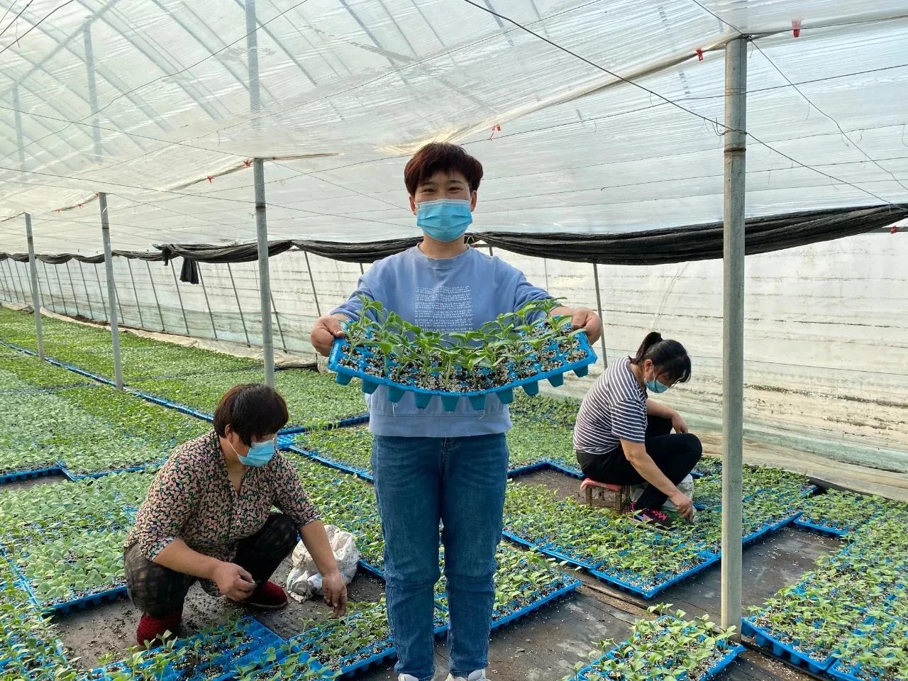 一村一品亿元村,一村一品打造乡村产业