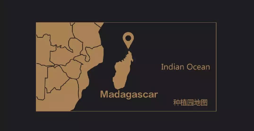 「寻珀系列」揭开顶级巧克力的神秘面纱