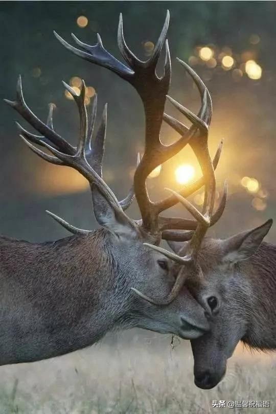 今天3月10，我的妈呀！谁编的，太好笑了，给群里乐一乐