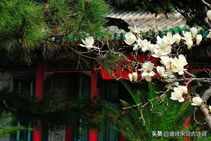 人生十首孤独绝美的诗词,闲适诗词50首